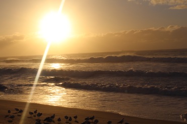 Sunrise at Fairy Meadow Beach, Wollongong, New South Wales, Australia
